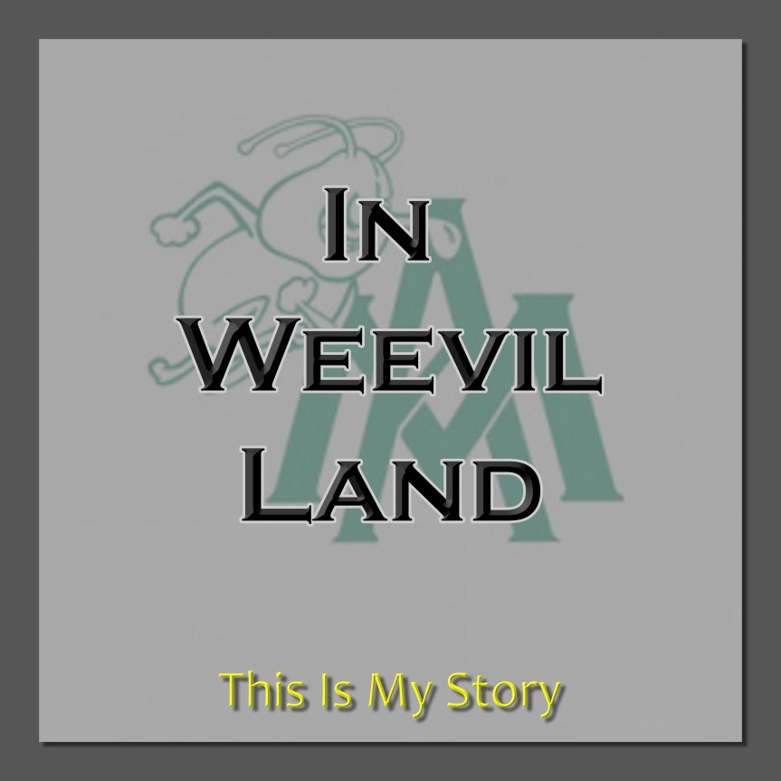 My Story: Life Before Tragedy (Part&nbsp;3)