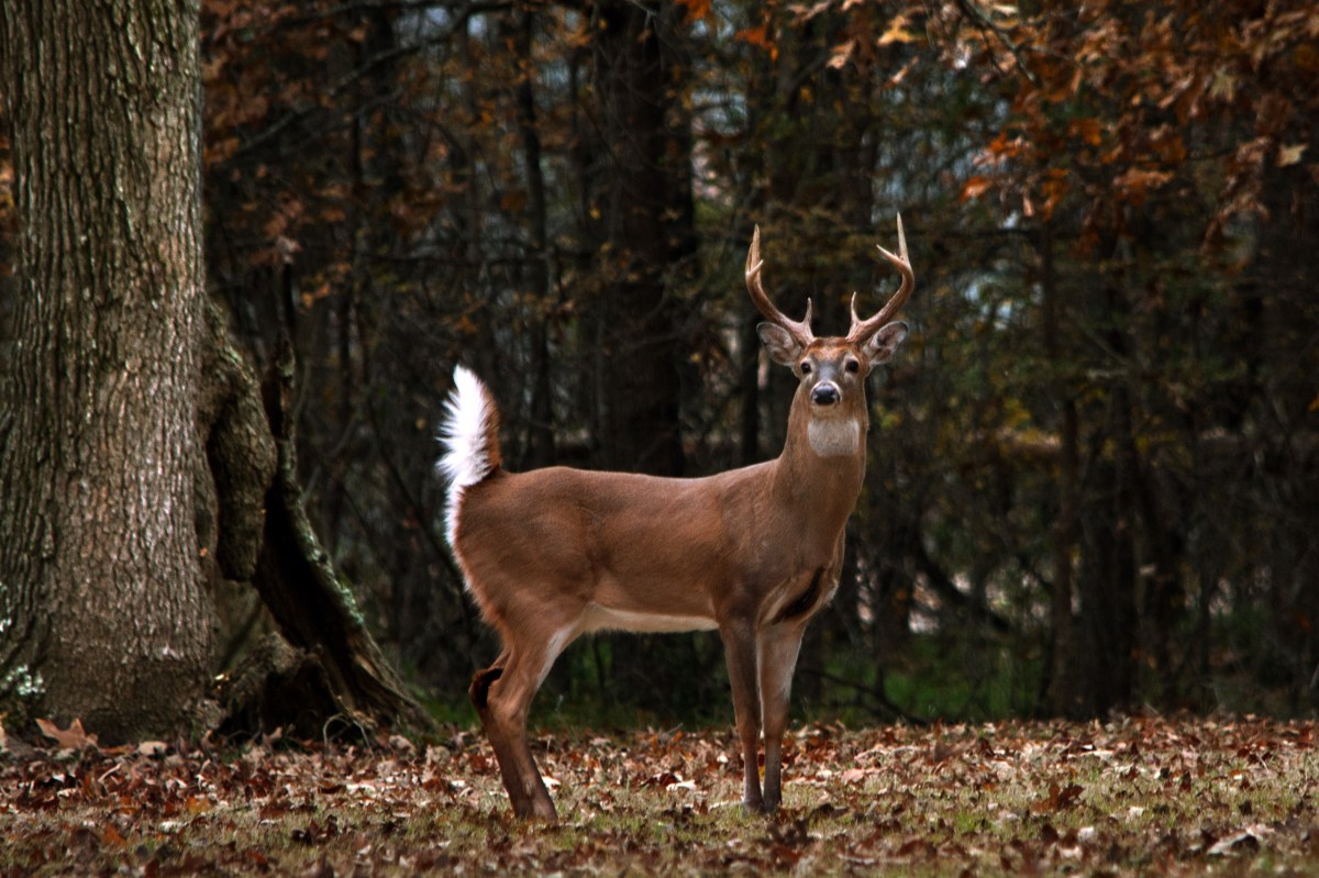 My Story: Life Before Tragedy (Part&nbsp;6)