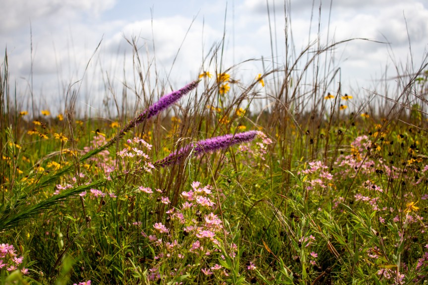 This Week –&nbsp;07/01/2024