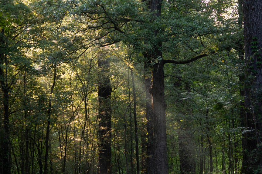 This Week –&nbsp;07/15/2024