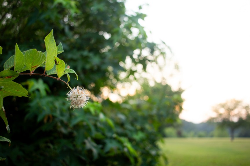 This Week –&nbsp;07/22/2024