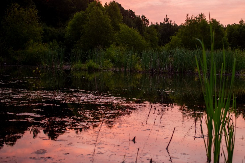 This Week – Starting:&nbsp;08/05/2024