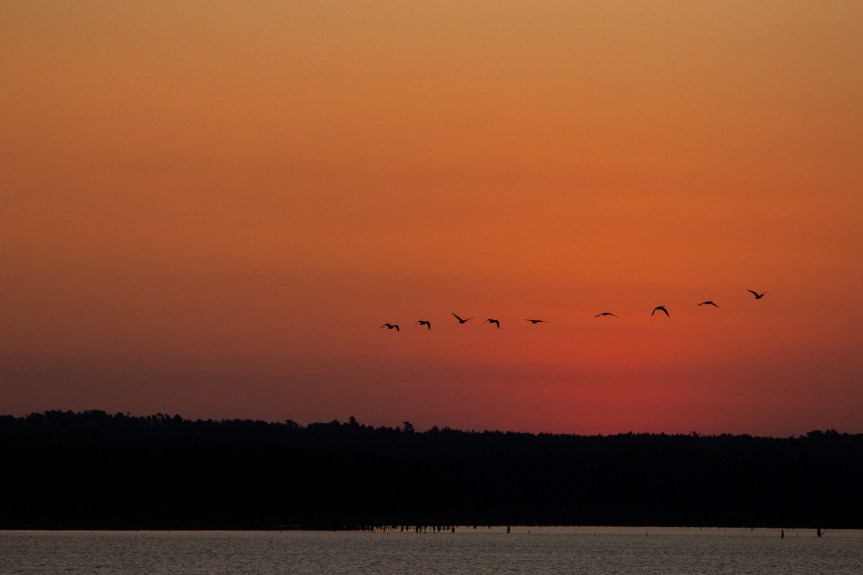 This Week – Starting:&nbsp;08/12/2024