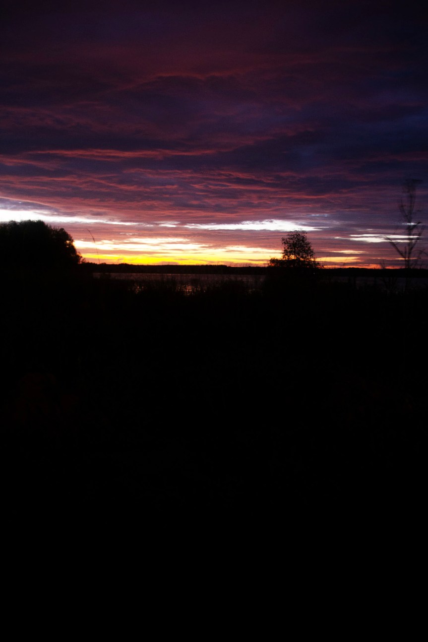 This Week – Starting:&nbsp;09/02/2024