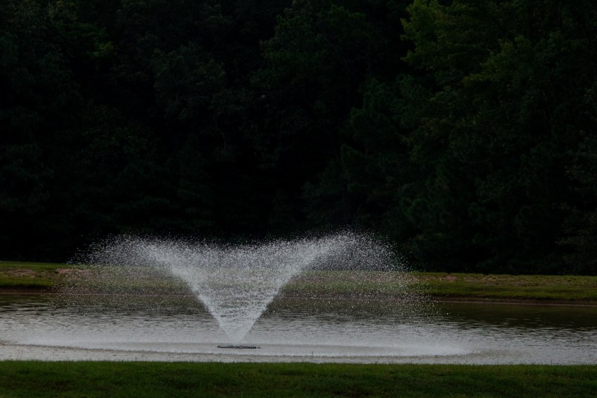 This Week – Starting:&nbsp;09/16/2024