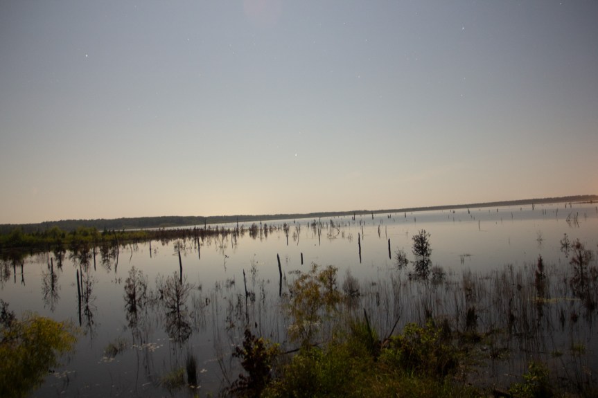 This Week – Starting:&nbsp;09/23/2024